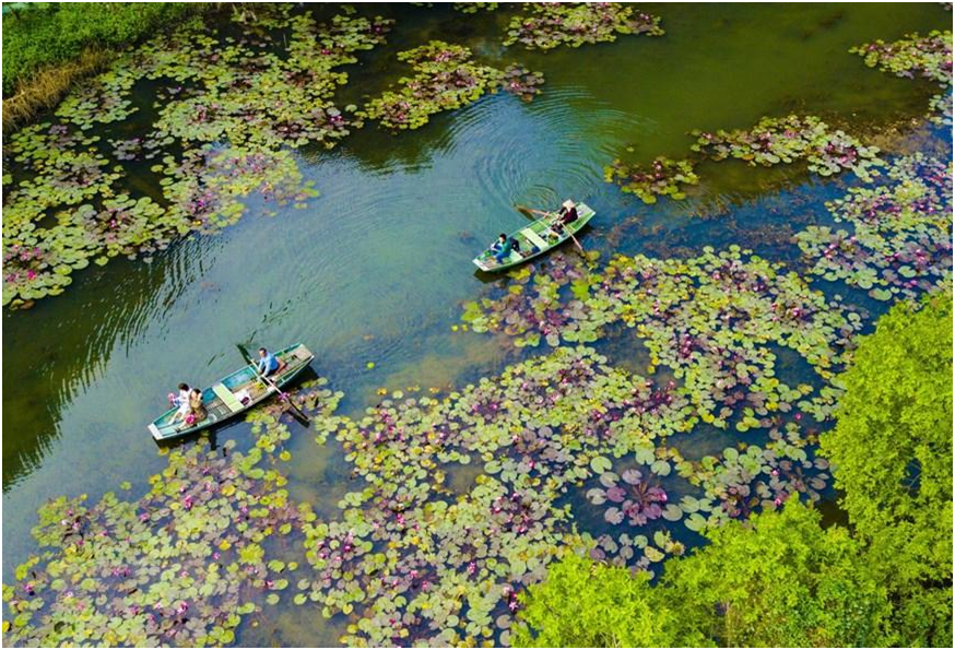 Thưởng ngoạn cảnh sắc thiên nhiên tuyệt đẹp của Ninh Bình